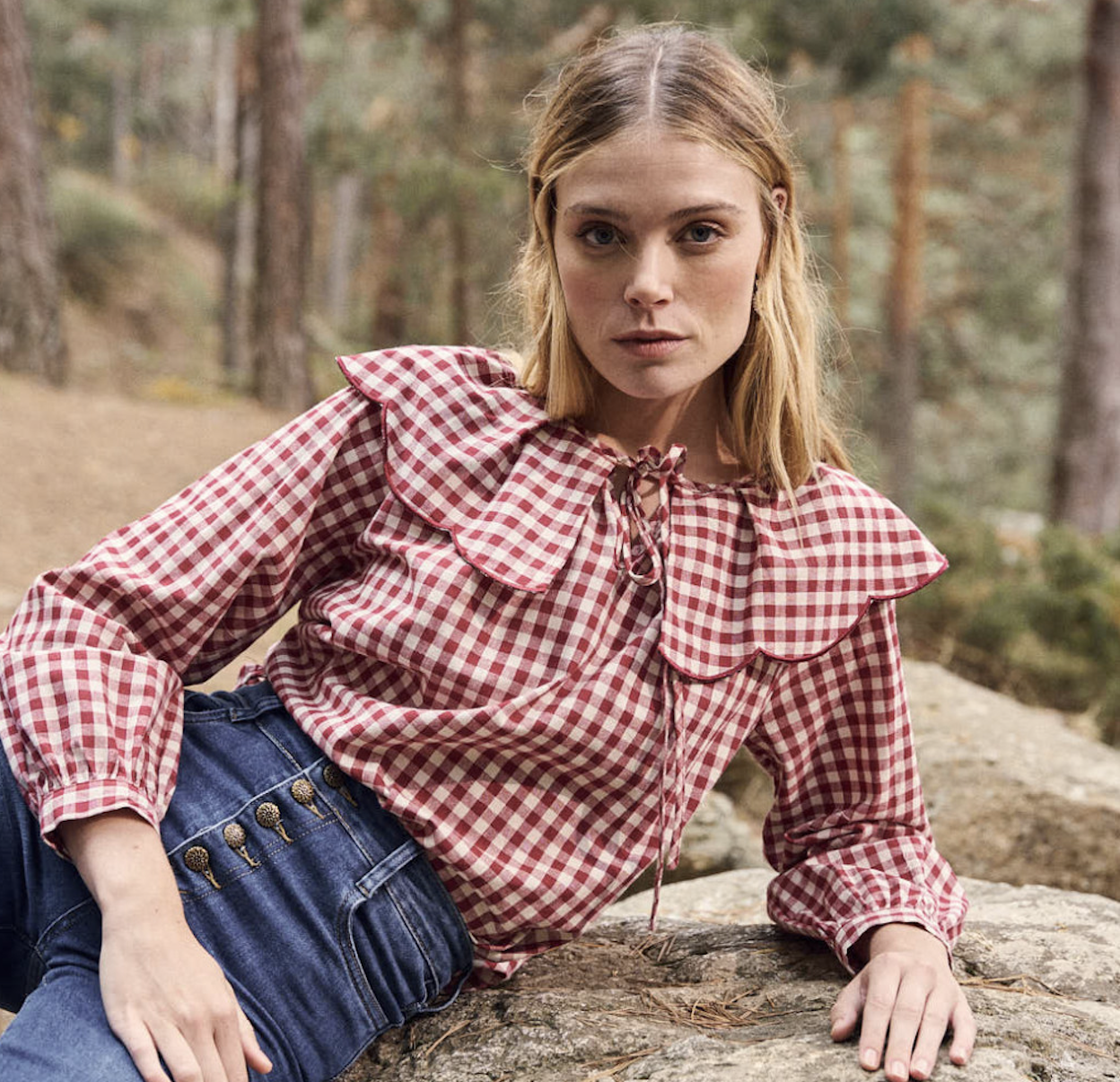 What is Vichy Style?